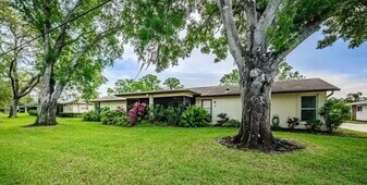 1223 Queen Anne Dr in Palm Harbor, FL - Building Photo