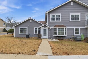 460 N Lake Shore Dr in Palatine, IL - Building Photo