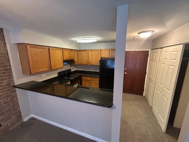 5650 Abbey Dr, Unit 5650-1P in Lisle, IL - Building Photo - Building Photo