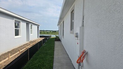 31471 Paper Birch St in Wesley Chapel, FL - Building Photo - Building Photo