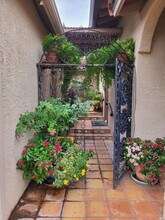 55 Teapot Rock Ave in Sedona, AZ - Building Photo - Building Photo