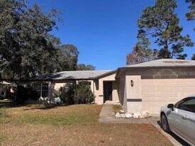 11187 Belltower St in Spring Hill, FL - Building Photo