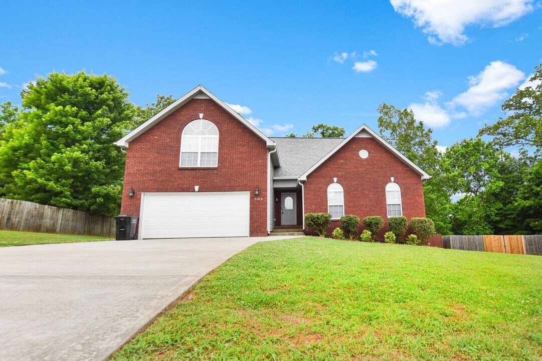 1125 Channelview Ct in Clarksville, TN - Building Photo