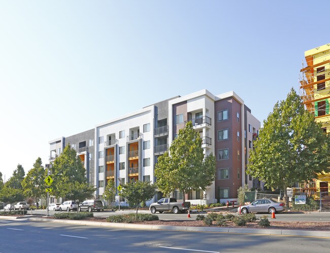 Oak Grove in San Jose, CA - Building Photo - Building Photo