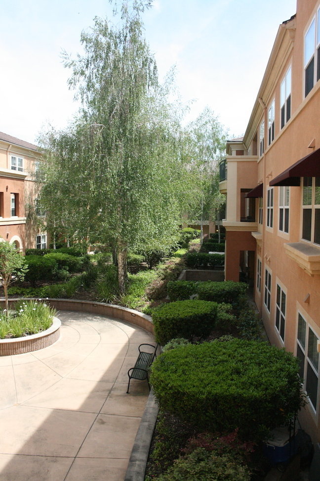 1310 Saddle Rack St, Unit 3BDR in San Jose, CA - Foto de edificio - Building Photo