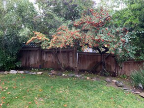 1234 Overlook Dr in Walnut Creek, CA - Building Photo - Building Photo