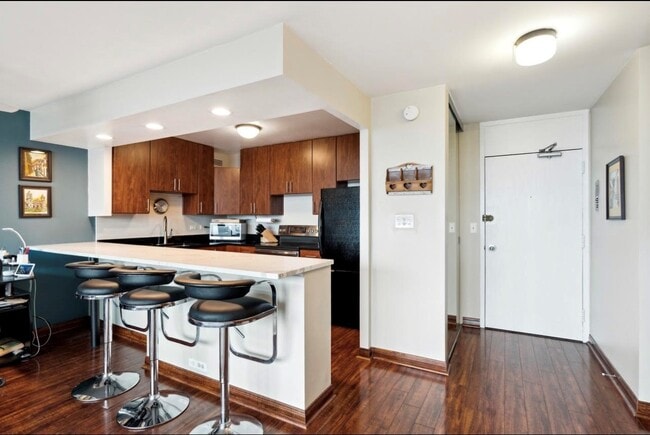 1255 N Sandburg Ter, Unit 2309 in Chicago, IL - Foto de edificio - Building Photo