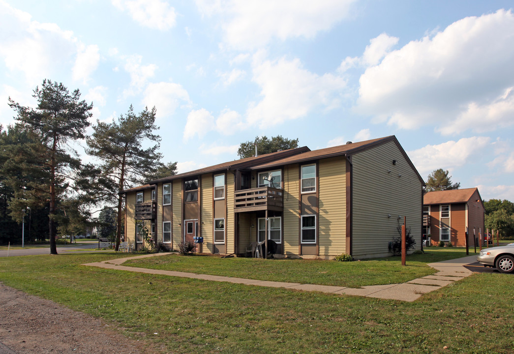 Community Village Apartments in Springville, NY - Foto de edificio