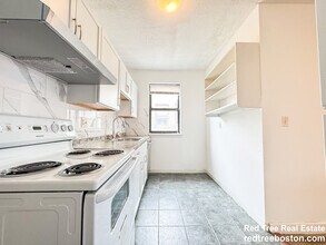 313 Summit Ave, Unit 10 in Boston, MA - Building Photo - Building Photo