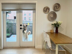 360 Meridian St, Unit 3 in Boston, MA - Building Photo - Building Photo