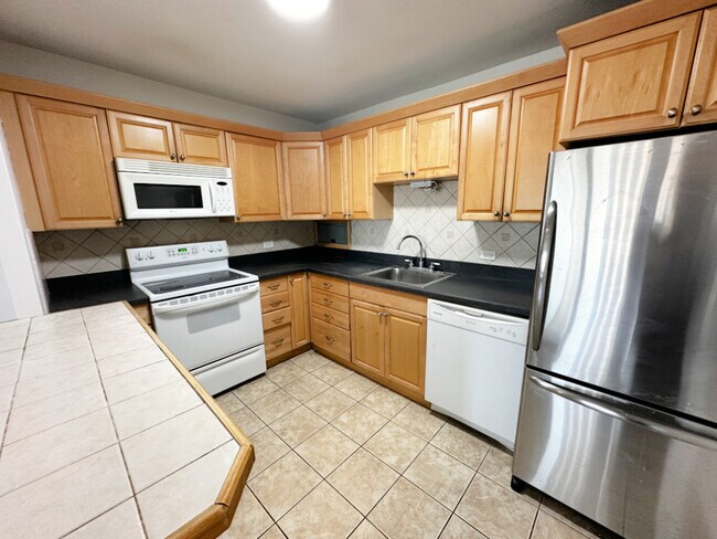 555 W Cornelia Ave in Chicago, IL - Building Photo - Building Photo