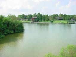 18617 Egret Bay Blvd