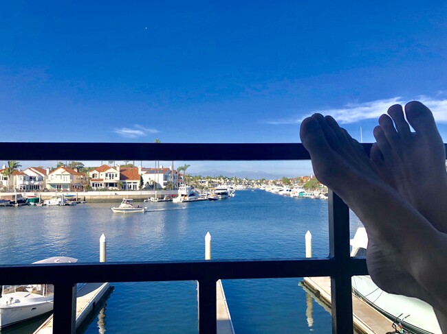 property at 3289 Moritz Dr