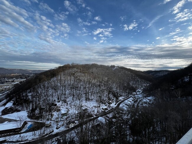 1800 Roundhill Rd in Charleston, WV - Building Photo - Building Photo