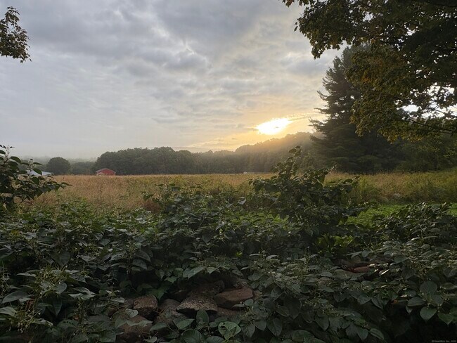 property at 47 Great Hill Rd