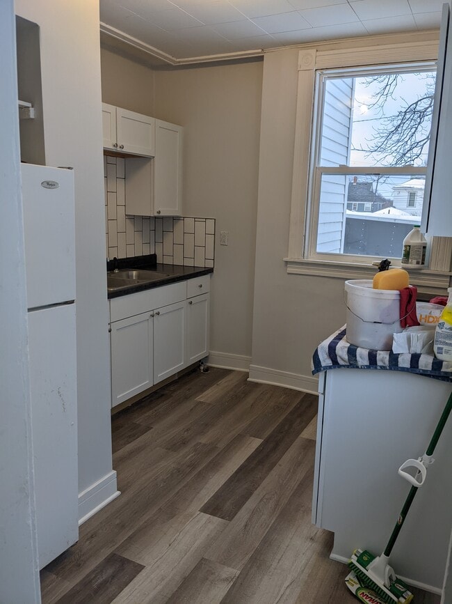 320 E Hickory St, Unit 1 in Mankato, MN - Building Photo - Building Photo