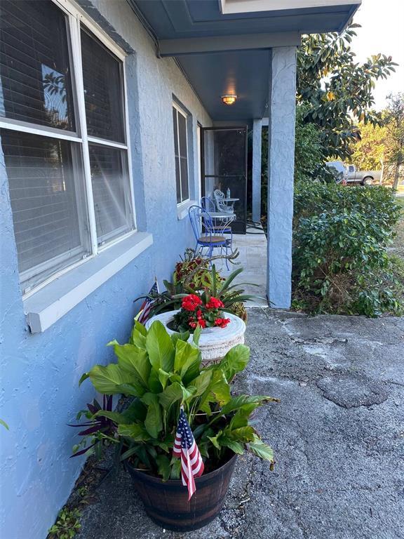 508 Ulelah Ave in Palm Harbor, FL - Building Photo - Building Photo