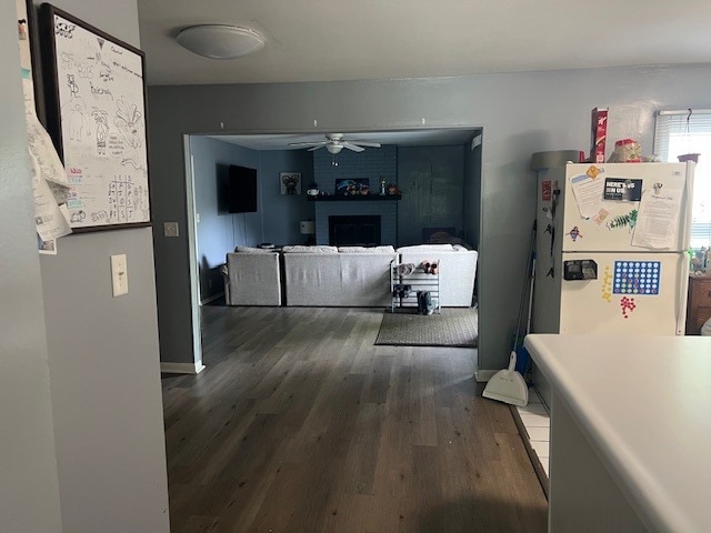 1005 E Park St in Carbondale, IL - Building Photo - Building Photo