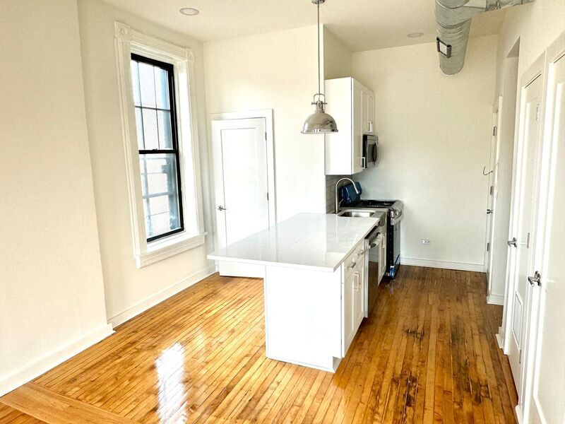 1656 S Throop St in Chicago, IL - Building Photo