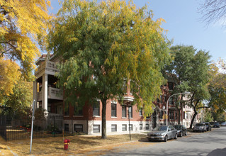 4559 S Greenwood Ave in Chicago, IL - Foto de edificio - Building Photo