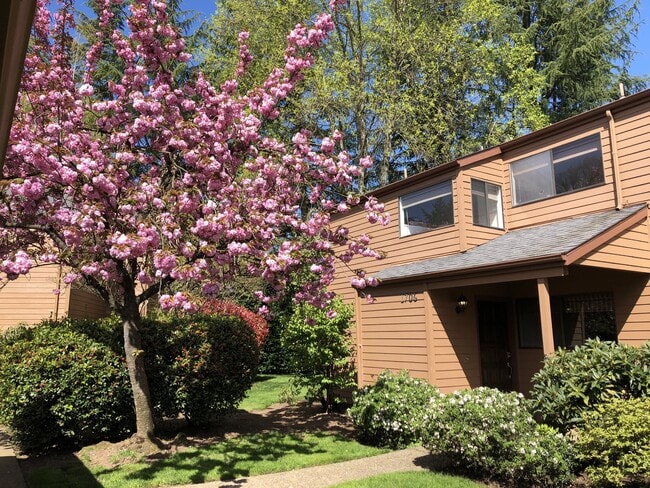 property at 1706 Minda Dr