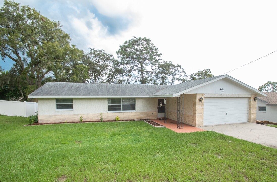 1379 Newhope Rd in Spring Hill, FL - Building Photo