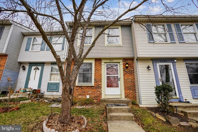 5857 Clarendon Springs Pl in Centreville, VA - Building Photo - Building Photo