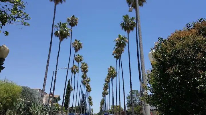1413 Laveta Ter in Los Angeles, CA - Building Photo