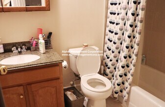 18 Euston St in Brookline, MA - Building Photo - Building Photo