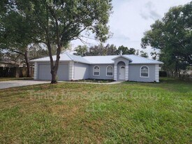 13496 Wilburton St in Spring Hill, FL - Building Photo