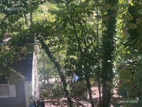 3117 Point Clear Dr in Fort Mill, SC - Building Photo - Building Photo