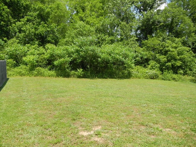 1704 Tellico Dr in Thompson's Station, TN - Building Photo - Building Photo