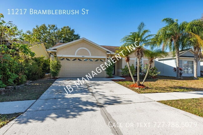 11217 Bramblebrush St in Tampa, FL - Building Photo - Building Photo