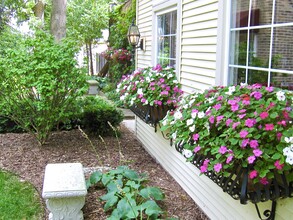 734 Mulford St, Unit Garden Apartment in Evanston, IL - Foto de edificio - Building Photo