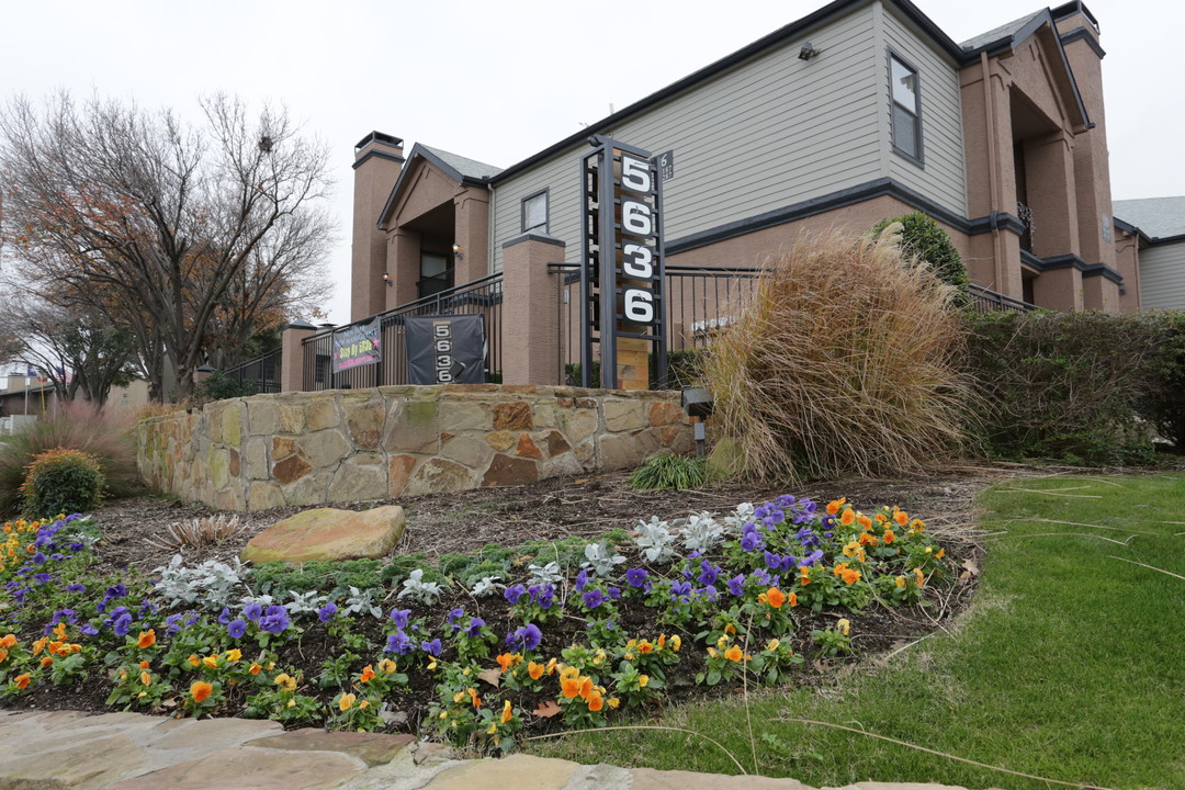 5636 Apartment Homes in Dallas, TX - Foto de edificio