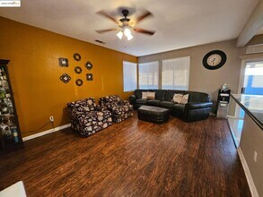 2236 Newport Ct in Discovery Bay, CA - Building Photo - Building Photo