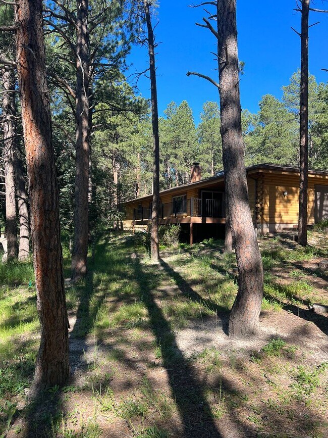 615 Congressional Dr in Monument, CO - Building Photo - Building Photo