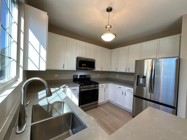243 Station Park Cir in Grayslake, IL - Building Photo - Building Photo