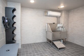 Adley City Springs in Sandy Springs, GA - Building Photo - Interior Photo
