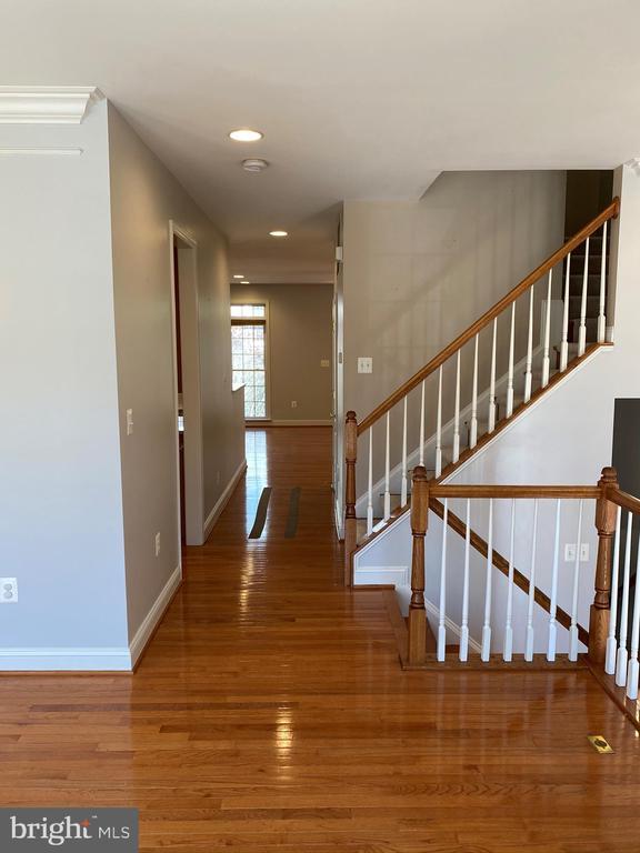 12466 Blissful Valley Dr in Fairfax, VA - Building Photo - Building Photo