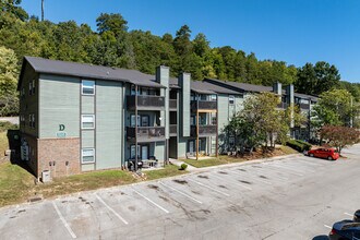 Eastowne Village Apartments in Knoxville, TN - Building Photo - Building Photo