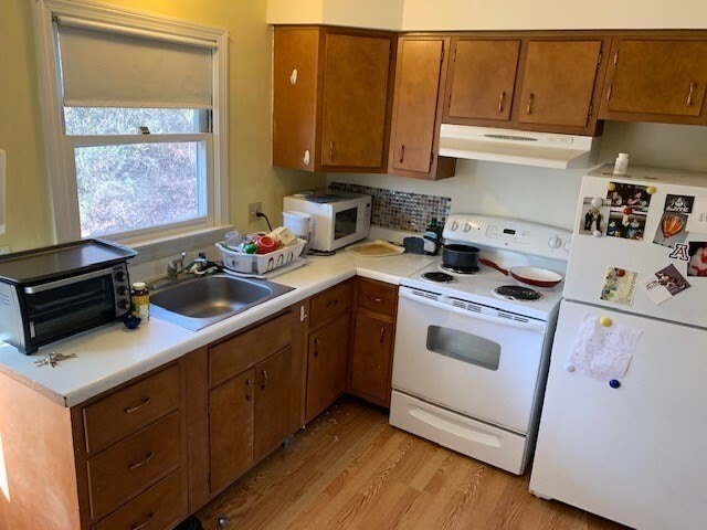 174 N Whitney St in Amherst, MA - Building Photo - Building Photo