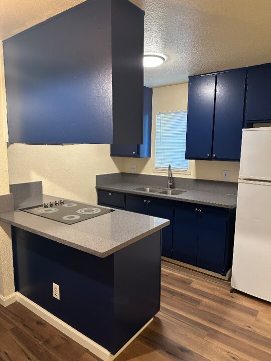 2117 9th St in Sacramento, CA - Building Photo
