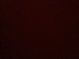 305 N 3rd Ave, Unit A in Hopewell, VA - Building Photo