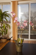 SDK Lodi Apartments in Lodi, NJ - Foto de edificio - Building Photo