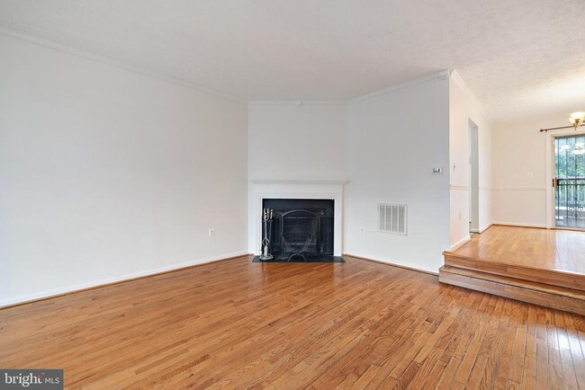10528 Joyceton Dr in Upper Marlboro, MD - Building Photo - Building Photo