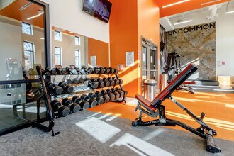 Luxury Housing - Uncommon Fort Collins in Fort Collins, CO - Foto de edificio - Interior Photo