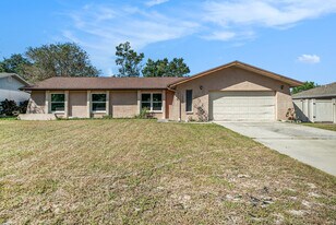 1804 Orange Hill Dr in Brandon, FL - Building Photo