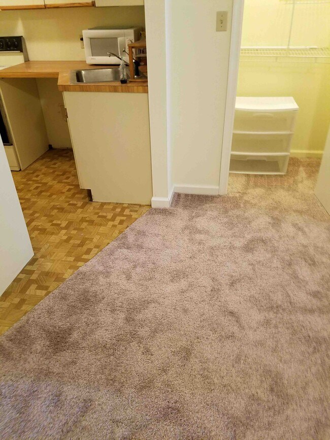 152 E Elm Street Apartments and Nearby Dunmore Apartments For Rent