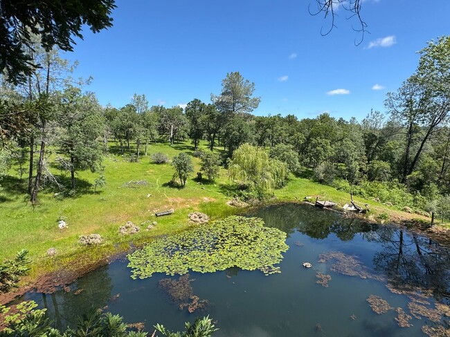 property at 11407 Overhill Dr
